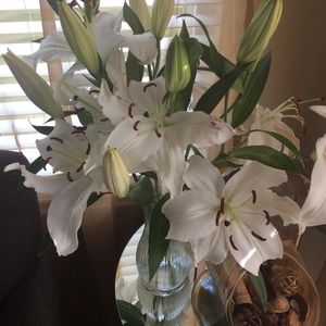 Meet your Posher, Sabrina